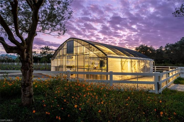 Greenhouse at Night