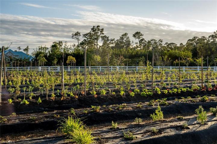 Farm