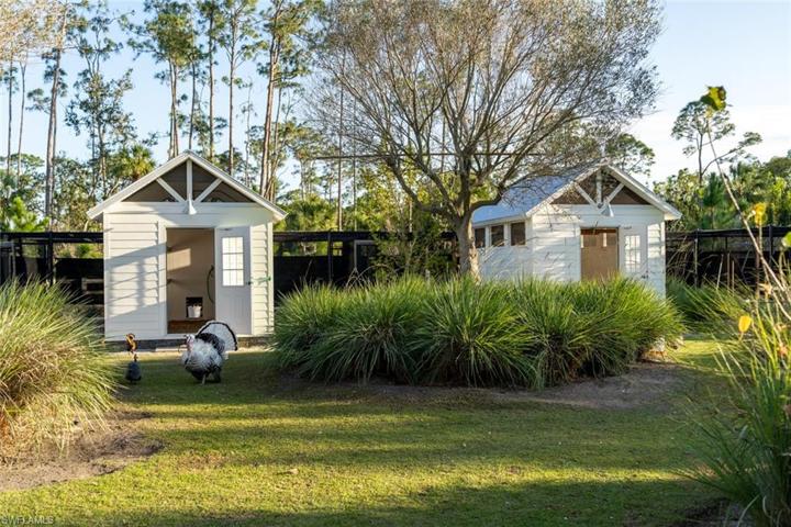 Chicken Coops