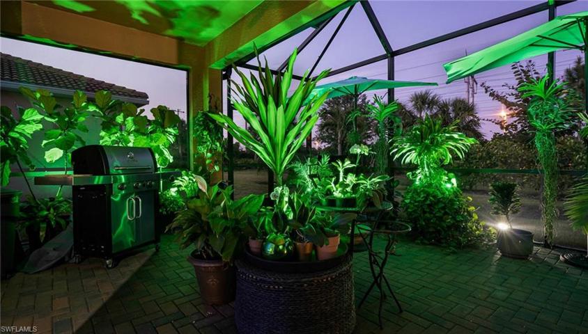 Outdoor gardens at night