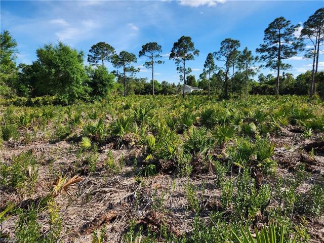 Great lot to build your dream home! Both lots available 6016+6014 Looking SE onto the lots.