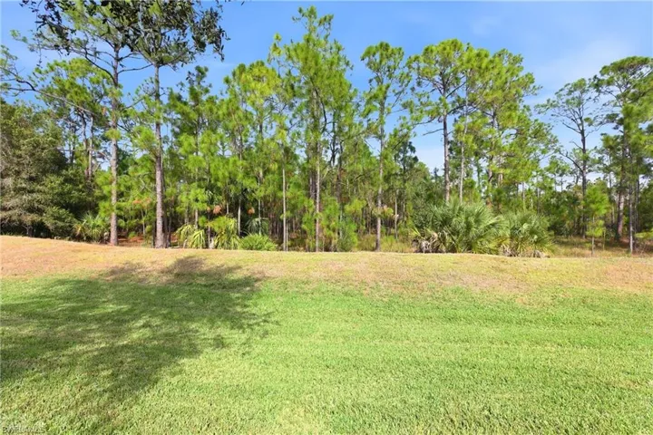 View of backyard