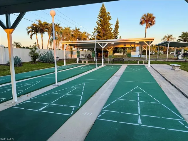 Shuffleboard