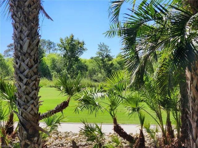 View - Bonita Bay Marsh Course - Hole #16
