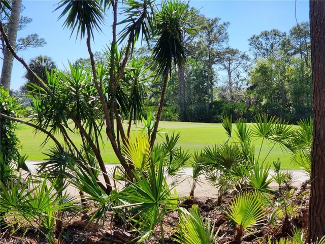 View - Bonita Bay Marsh Course - Hole #16