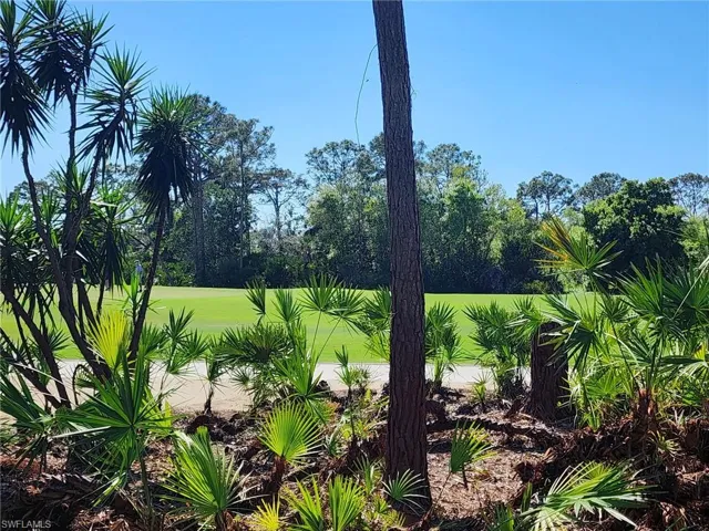 View - Bonita Bay Marsh Course - Hole #16