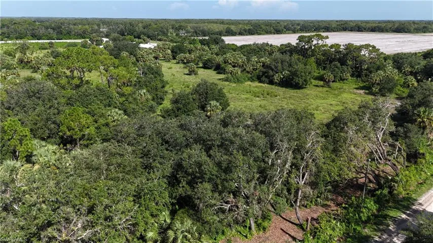 Bird's eye view of a heavily wooded area