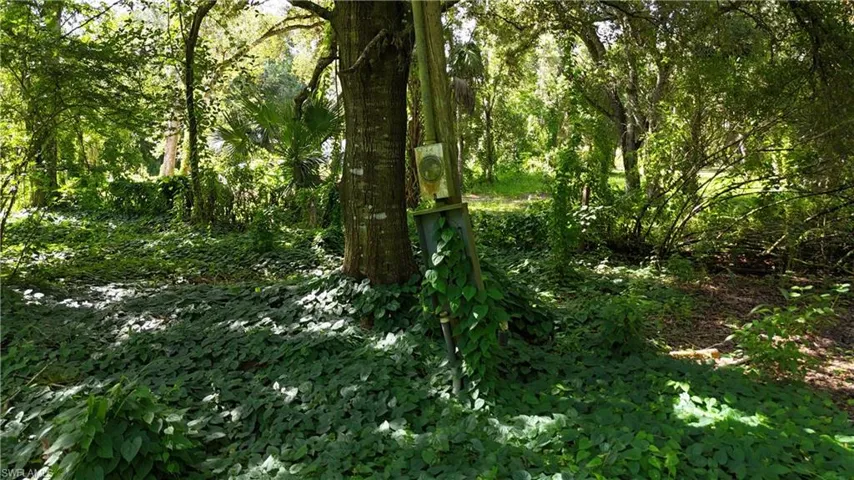 View of wooded area