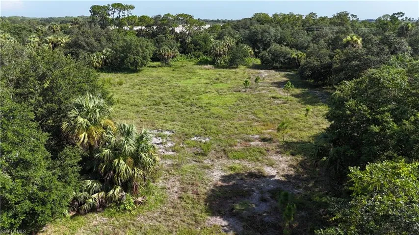 View of local wilderness
