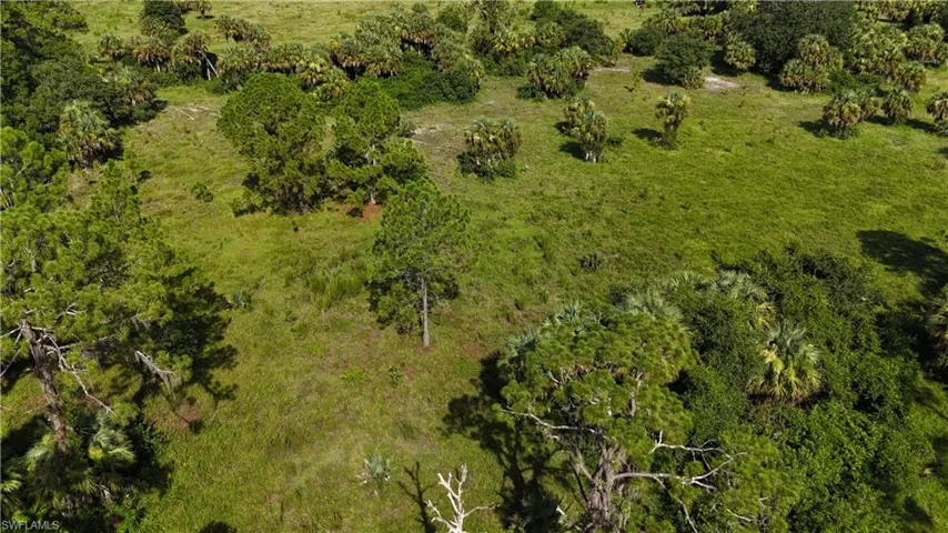 View of property location with a forest