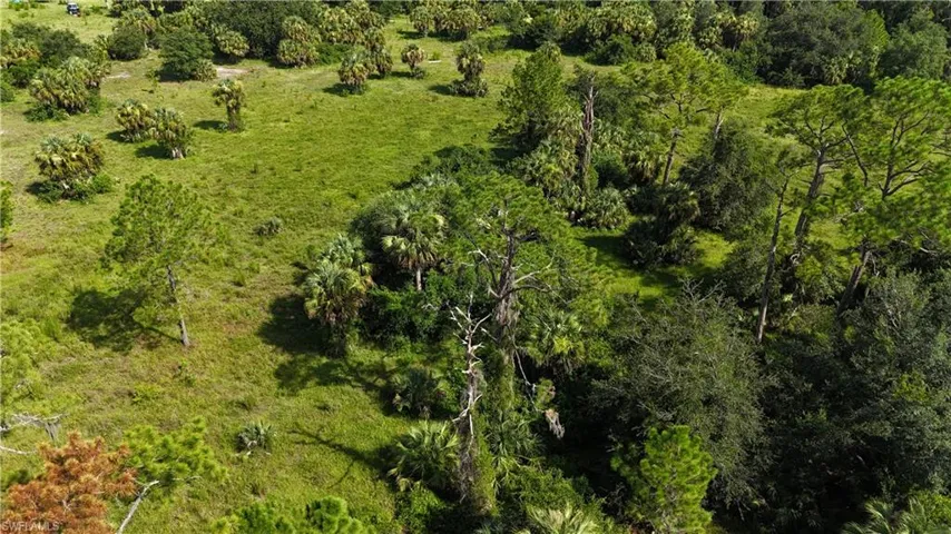 Bird's eye view of a heavily wooded area