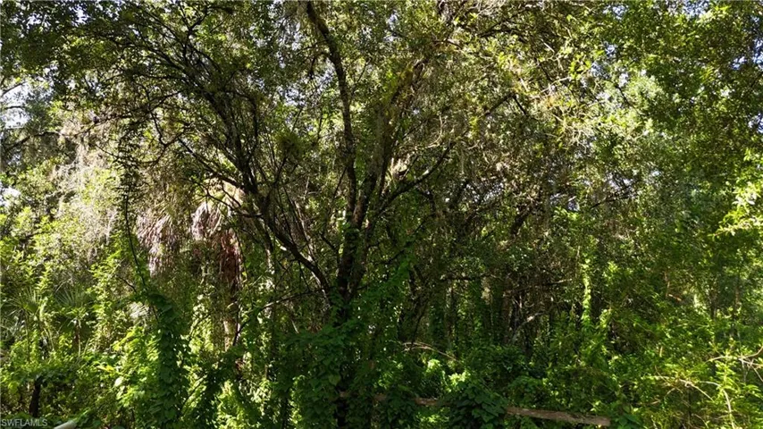 3435  Whidden Loop  RD, Immokalee, FL 34142