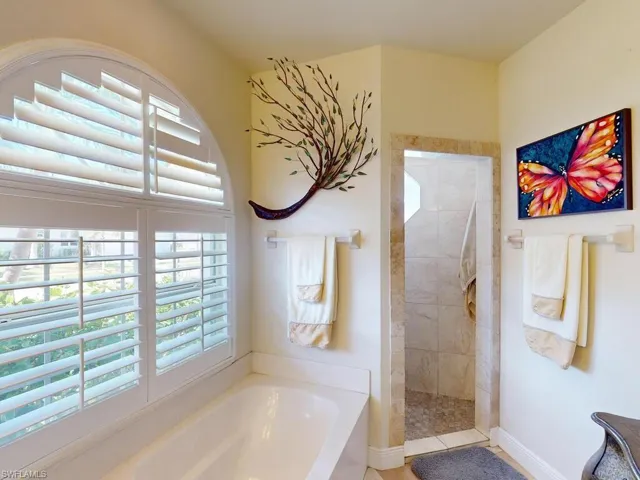 Bathroom with a wealth of natural light and shower with separate bathtub