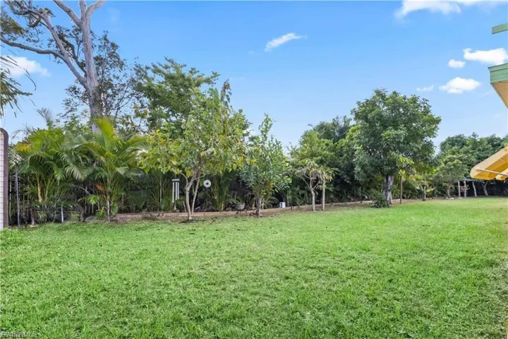 Huge Backyard