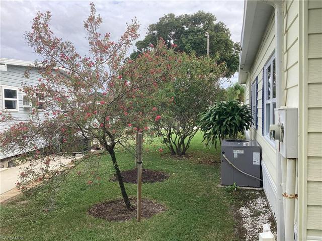 Side yard