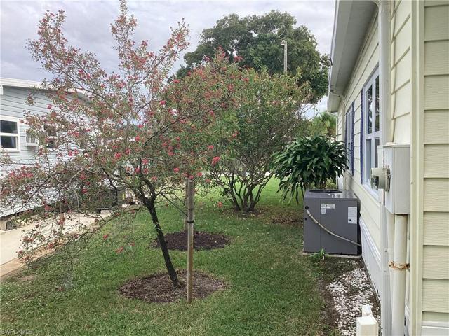 Side yard