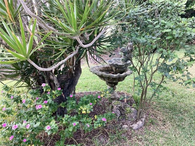 Backyard’s