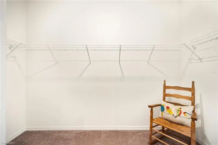 Walk in closet with carpet flooring