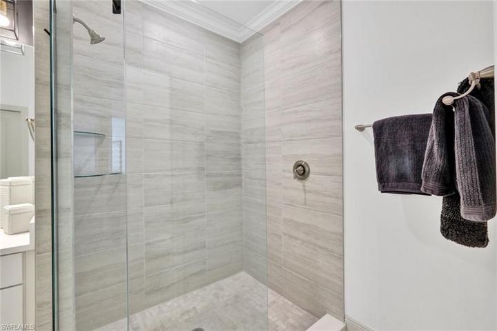 Primary Shower