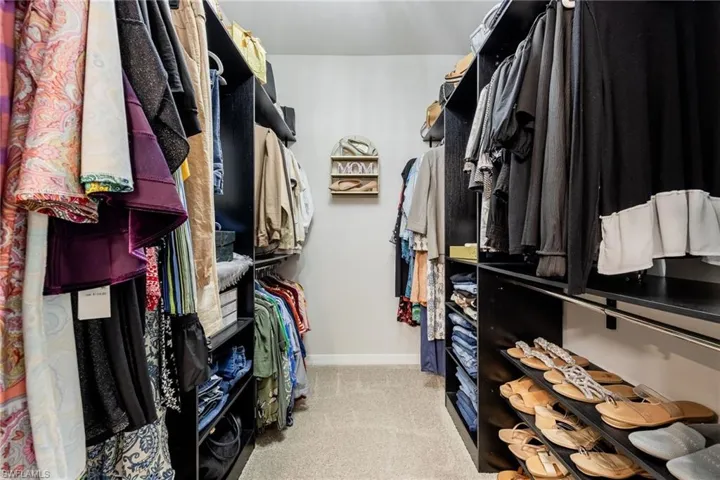 Spacious closet featuring light carpet