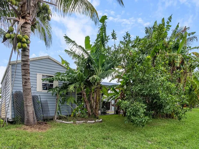 View of the side yard with fruit trees.