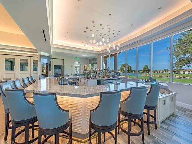 Bar with light hardwood / wood-style flooring and a tray ceiling