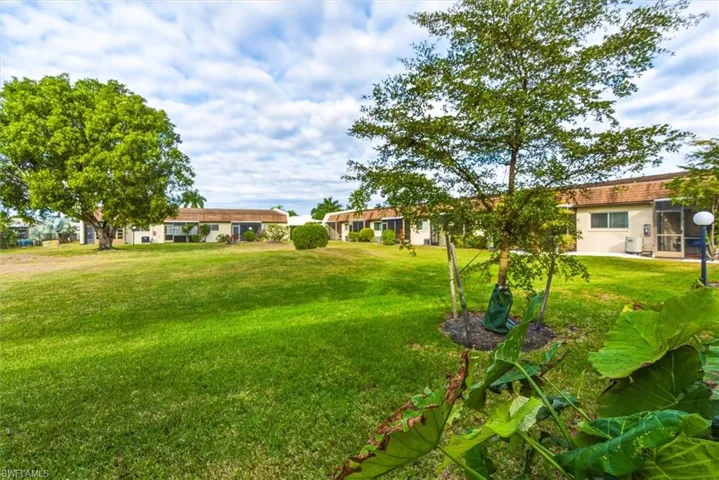 View of grassy yard