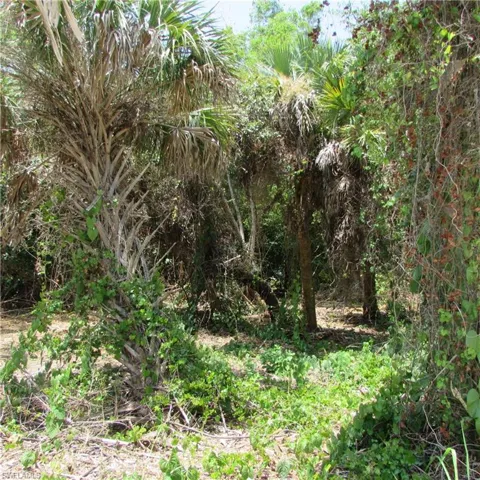 14901 Stringfellow Rd, Bokeelia, Florida 33922
