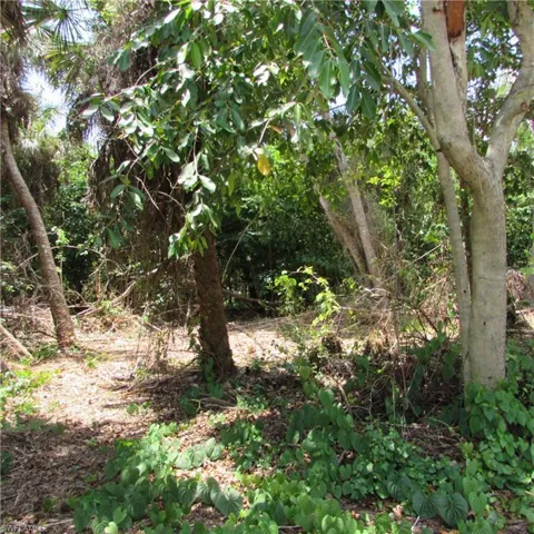 14901 Stringfellow Rd, Bokeelia, Florida 33922
