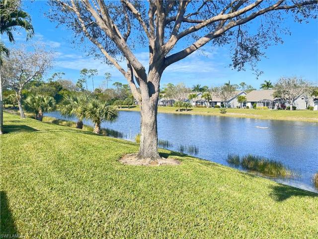 Lake view