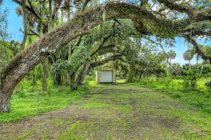 OAK DRIVE