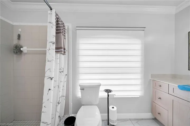 Bathroom featuring a shower with curtain, toilet, crown molding, and vanity