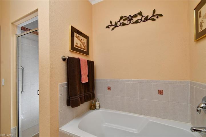Soaking tub and walk-in shower
