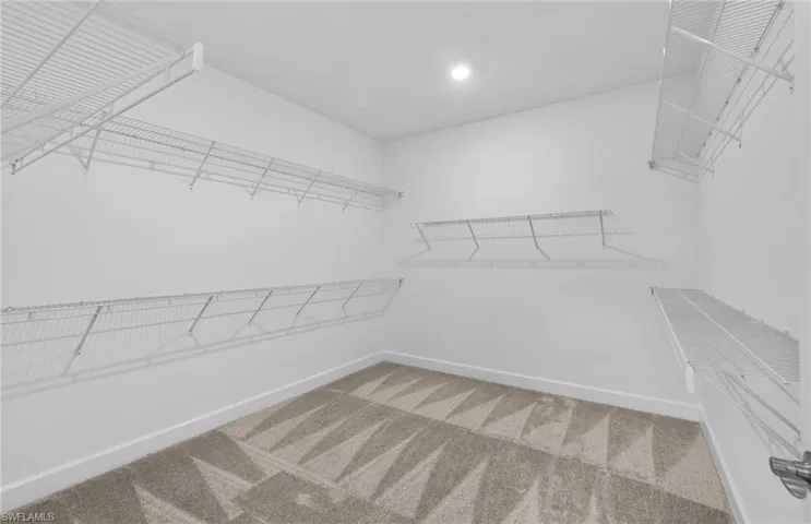 Spacious closet with carpet