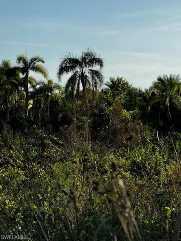 View of nature
