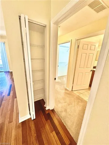 Hall Closet View