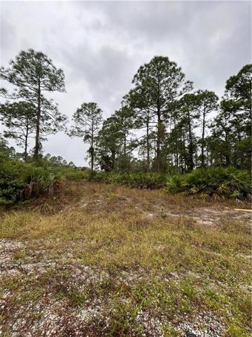 1201 Prospect AVE, LEHIGH ACRES FL 33972