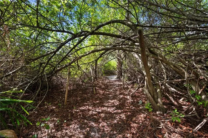 Magical Tunnel of Love