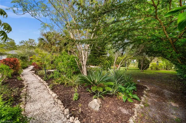 Front garden that showcases unique plants and trees