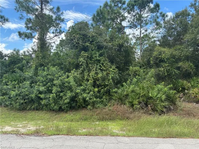 1113 Euclid Ave, Lehigh Acres, Florida 33972