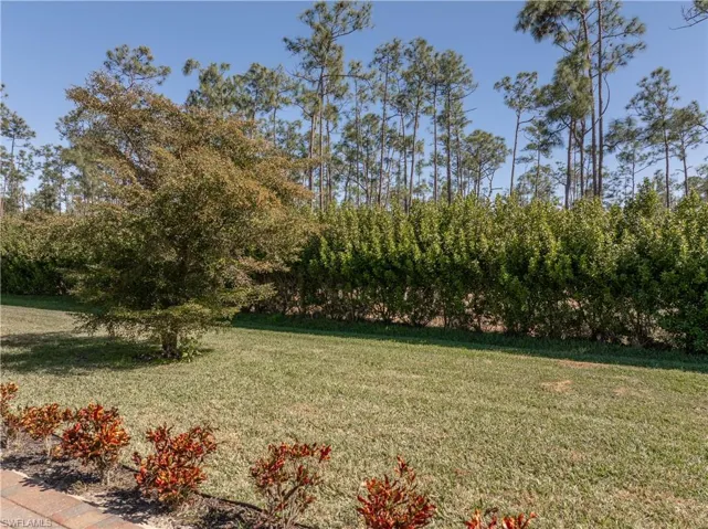 View from patio area of the preserve behind the home.