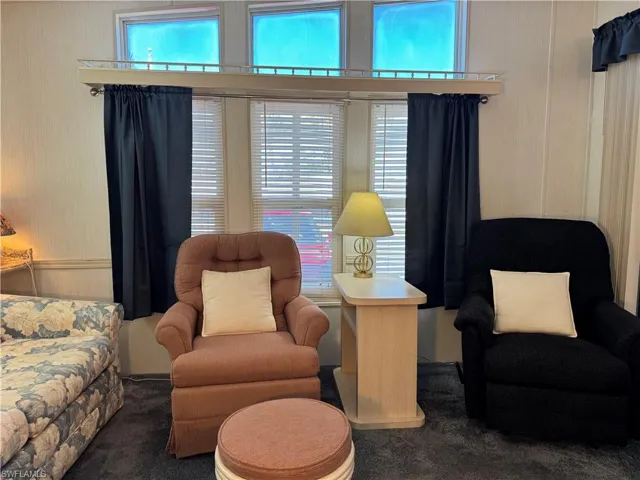 Living area with carpet floors