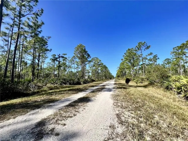 View of dirt / gravel road