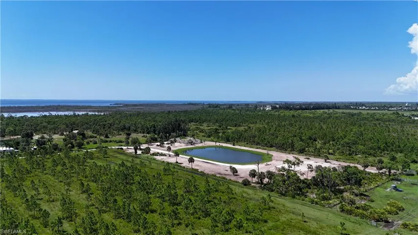 Drone / aerial view of a forest and a large body of water