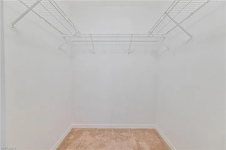 Spacious closet featuring light colored carpet