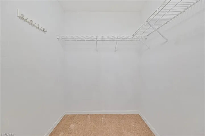 Spacious closet with carpet