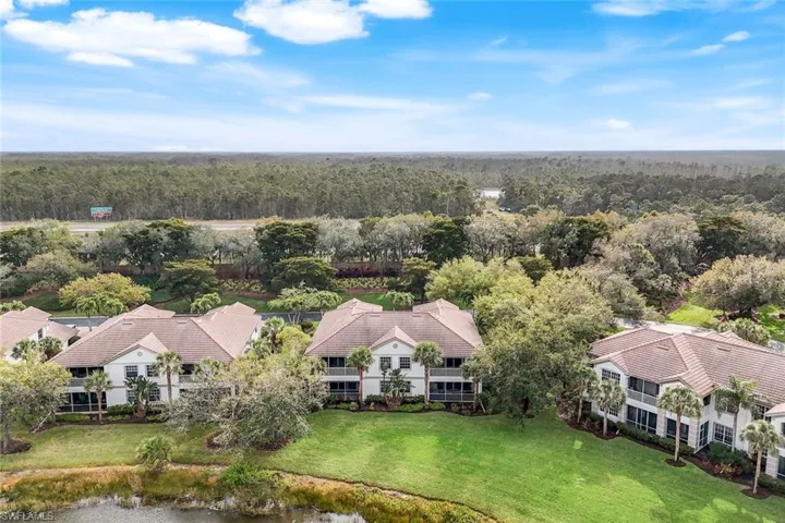 Bird's eye view of a forest and a large body of water