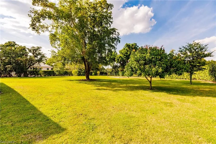 Mature fruit trees in large lot