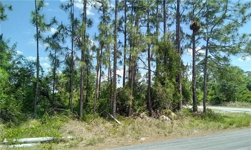 Tbd Brook Ave S, Lehigh Acres Fl 33974