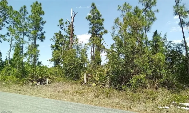 Tbd Brook Ave S, Lehigh Acres Fl 33974
